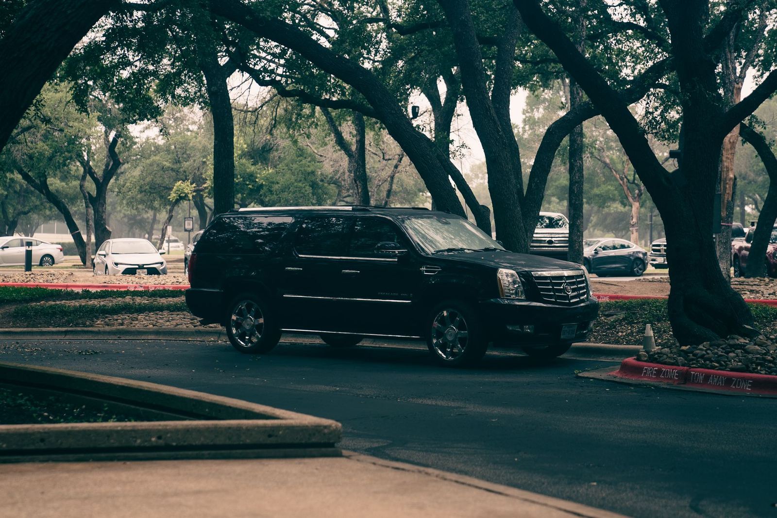 A black Cadillac Escalade parked under trees