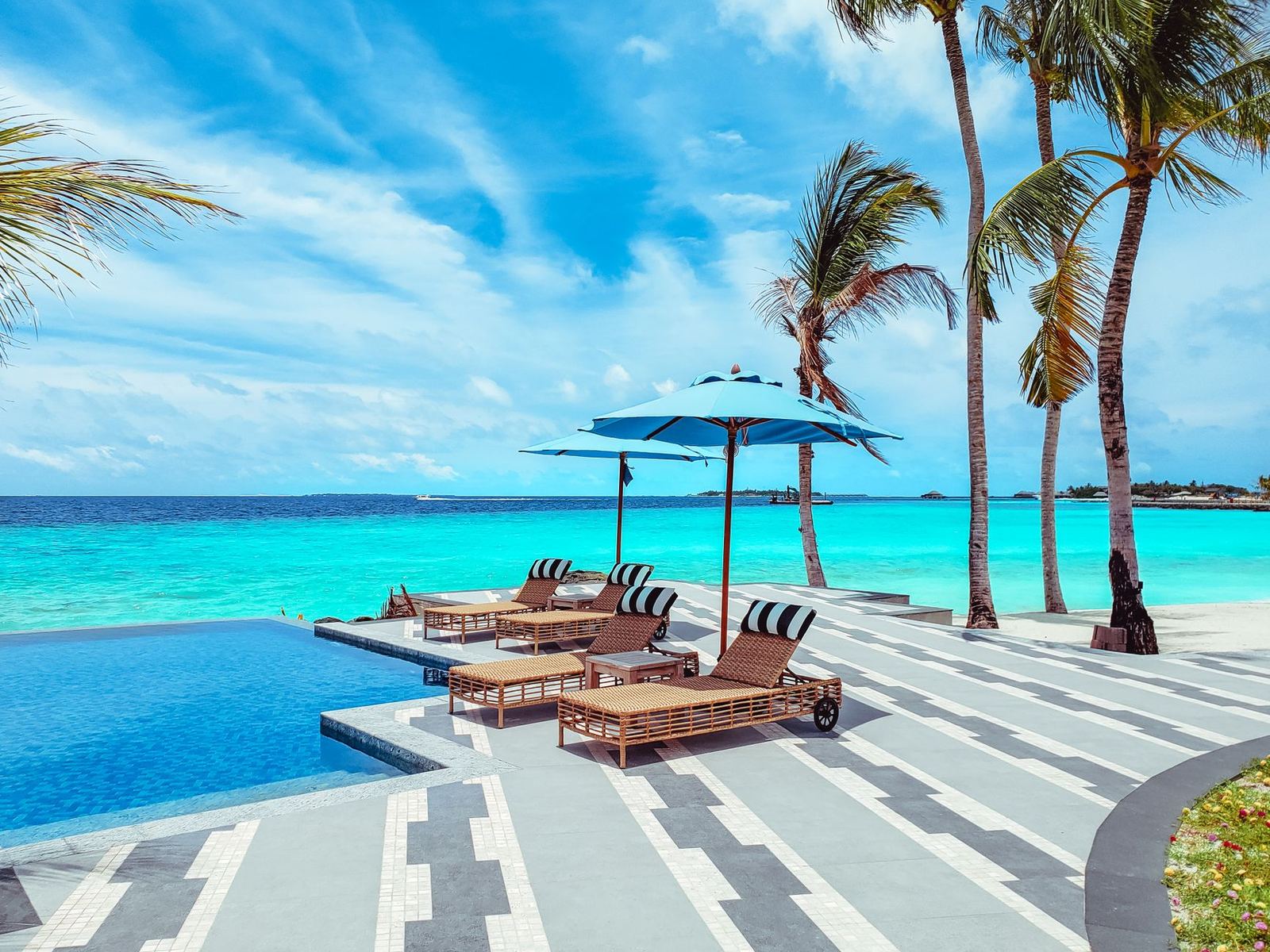 Infinity pool at a tropical resort lined with palms